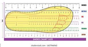 Printable Shoe Size Chart Women's Size Chart Women Images Stock Photos Vectors Shutterstock