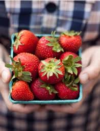 Pin By Corey Campbell On Strawberries Healthy Fruits Fruit And Veg I Love Food