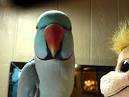 pictures of 2 parrots talking backwards real estate