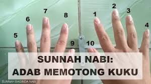 Sekiranya ada sebarang bantahan atau tidak setuju dengan post dari blog kami, maklumkan kepada kami. Alhamdulillah Bahagianya Hidup Ini Adab Adab Potong Kuku Ikut Sunnah Cute766