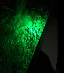 Underwater Lights For Fishing Brightest Green Led Fishing Lights