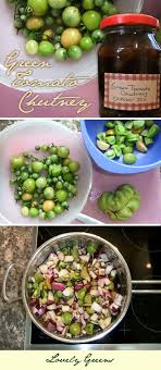 Easy Green Tomato Chutney Recipe Recipe Tomato Chutney Recipe Green Tomato Chutney Recipe Chutney Recipes