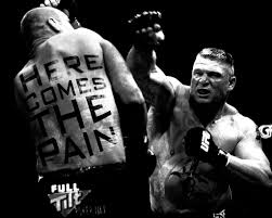 brock lesnar quotes quotesgram brock lesnar quotes quotesgram