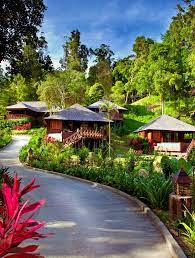 bunga raya island resort spa and gayana eco resort malaysia