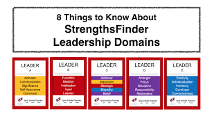 As I Facilitate Strengthsfinder Leadership Workshops Across Singapore And Asia I Often Get Asked Many Questions Regarding The Strengthsfinder Tool