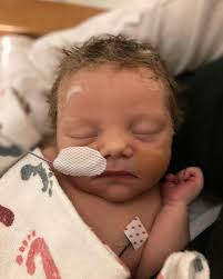 Sarah Newbold (@sarah_newb) • Instagram photos and videos