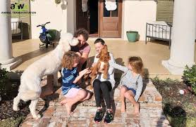 Giovanni alesi (aviñón, vaucluse, francia; Atw Returns To The Skies To Bring Your Pets Home