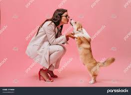 زن زیبا با لباس بژ با سگ در پس زمینه صورتی بازی می کند بانوی تجاری ناز با  کت و شلوار شیک و کفش قرمز کورگی را می بوسد 1719068