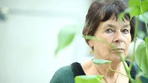 Nick Mason von Pink Floyd tritt beim Tollwood-Sommerfestival in München auf 