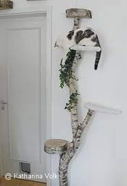 Hallo, ich bin seit samstag nachmittag eine frischgebackene katzenmama und hätte noch eine frage die mir auf der seele brennt. Artgerechte Katzenhaltung In Der Wohnung Artgerecht Tier