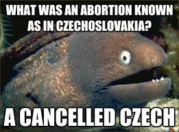 what was an abortion known as in czechoslovakia? a cancelled czech ...