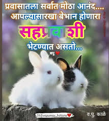  Pin By Ajay Akruti On Marathi Quotes Marathi Quotes Cute Love Cute