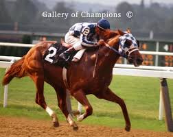 Secretariat 1973 Belmont Stakes 107 Gallery Of Champions