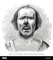 Robert darwin hi-res stock photography and images