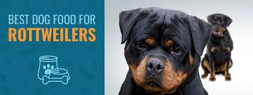 Best Dog Food For Rottweilers Best Of 2019 Animalso