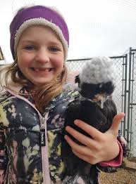 Chickens Wearing Hats in the Snow
