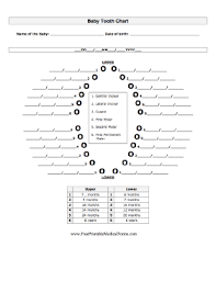 printable baby tooth chart