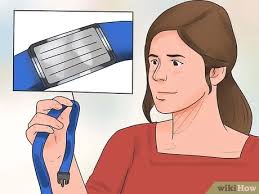 Kedilerin Bahceye Kaka Yapmasi Nasil Engellenir Wikihow