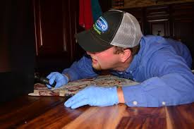 Browse a large collection of efficient and safe. Active Pest Control 1167 Highway 54 E Fayetteville Ga Pest Control Mapquest