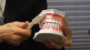 Learning what to look for and what steps to take for prevention help you take care of your teeth and gums during orthodontic treatment. Gums Growing Over Braces