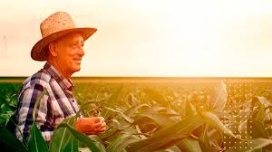 Criado em 1960, em razão do centenário do ministério da agricultura, o dia do agricultor valoriza os agricultores para o crescimento econômico do país e para a sociedade. Dia Do Agricultor Data Para Ressaltar A Forca Que Vem Do Campo Ks Pulverizadores Sistema Ks E Pulverizadores Autopropelidos