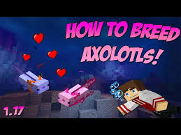 Cyan, pink, gold, brown, and blue. Blue Axolotls In Minecraft 1 17 Caves Cliffs Update All You Need To Know