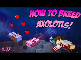 Update 1.17 new caves & cliffs mob explained. How To Tame Axolotls In New Minecraft 1 17 Caves Cliffs Update