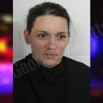 Sara McCain — Floyd County Jail Bookings