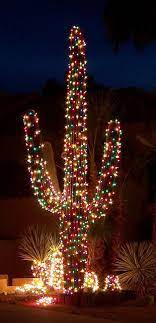 Check spelling or type a new query. Arizona Christmas Tree Christmas Magic Christmas Cactus Christmas Decorations