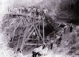 Image result for Dark Harvest Gold 1983 Fedders