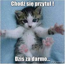 images?q=tbn:ANd9GcRAlWp15Na6jh_m5p4lR0K