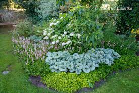 Eiche und sanftes rosa werden hier kombiniert und so wird. Halbschattenkombination Mit Hortensie Und Kaukasus Vergissmeinnicht Einfach Garten