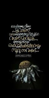 Pin By Mayohi On Randam Stuffs Inspirational Quotes About Love Feelings Quotes Emotional Quotes