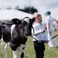 Ellesmere A&P Show event image