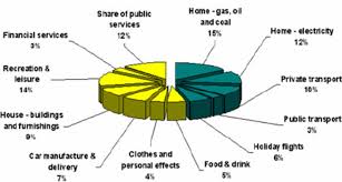 The Pie Chart Of The Main Elements 4 Of A Persons Carbon