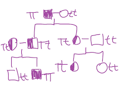 tongue rolling pedigree chart science showme