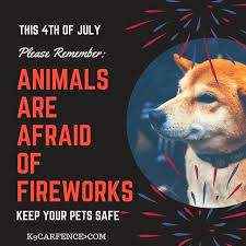 Pin On Instagram Images