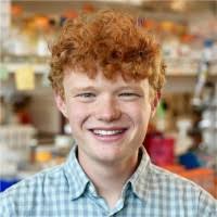 400+ "Witwer" profiles