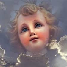 BE GOOD SHEEP OF JESUS 5 February 2022 READINGS: 1 Kings 3: 4-13 Psalm 118  Mark 6: 30-34 REFLECTION/APPLICATION: Solomon has now been proclaimed king  after his father, David. He goes to