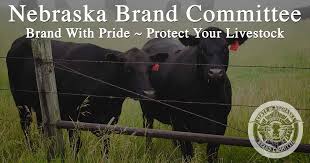 Across the university of nebraska, our focus is on building a better tomorrow. Welcome Nebraska Brand Committee