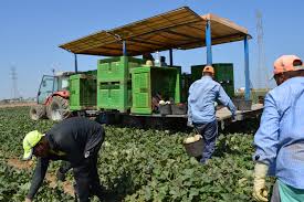 An all too common nuisance across australia at flick anticimex, we are proud to offer extensive commercial pest control solutions to ensure the health and welfare of your customers and employees alike. The Most Dangerous Pesticide You Ve Never Heard Of