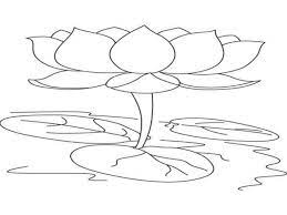 30 Lukisan Bunga Teratai Yang Mudah Sketsa Bunga Sketsa Bunga Teratai Yg Mudah Download Rongga Lotus Flower Colors Lotus Flower Art Lotus Flower Drawing