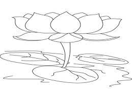 Selain bentuknya yang indah dan penuh simbol. 30 Lukisan Bunga Teratai Yang Mudah Sketsa Bunga Sketsa Bunga Teratai Yg Mudah Download Rongga Udara Teratai Defini Riscos Para Pintura Aquarela Desenhos