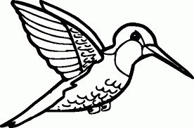 Free, printable coloring pages for adults that are not only fun but extremely relaxing. Printable Hummingbird Coloring Pages Coloring Me Coloring Home