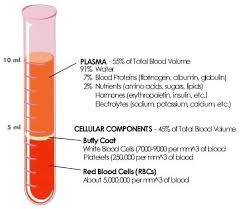 Image result for Blood Volume