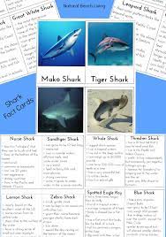 This post was created by a member of the buzzfeed commun. Shark Information For Kids Free Shark Printables Natural Beach Living