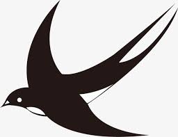 الملايين من Png الصور والخلفيات والمتجهات للتحميل مجانا Pngtree Pet Birds Animals Wild Swallow Bird