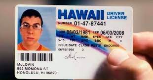 Explore dgv mclovin's (@dgv_mclovin) posts on pholder | see more posts from u/dgv_mclovin about sneakers, meme hunter and xiao mains. Internet Se Olvida Un Rato Del Fin Del Mundo Y Felicita A Mclovin En Su Cumpleanos