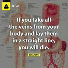 Image result for 8 crap