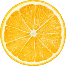 Slice Of Orange Fruit Orange Fruit Orange Slices Orange
